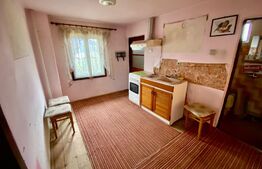 Curte cu 2 case de vănzare, în Năsăud într-o zonă liniștită