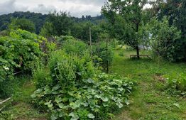 Casa 70mp, zona Bargaului 