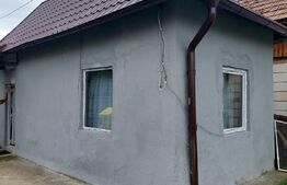 Casa 70mp, zona Bargaului 