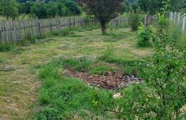 Casa 70mp, zona Bargaului 