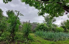 Casa 70mp, zona Bargaului 