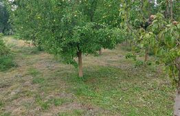 Casa 70mp, zona Bargaului 