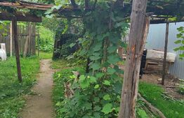 Casa 70mp, zona Bargaului 