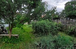 Casa 70mp, zona Bargaului 