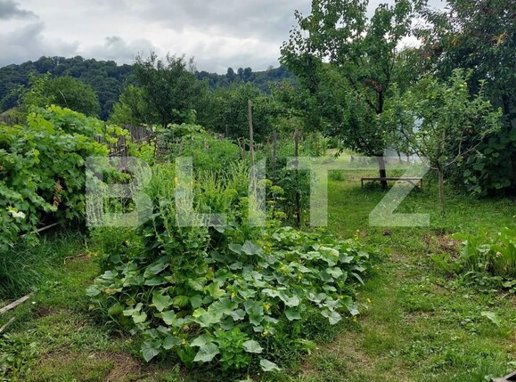 Casa de vânzare 1 camera Nord - 137112CV | BLITZ Bistriţa | Poza3