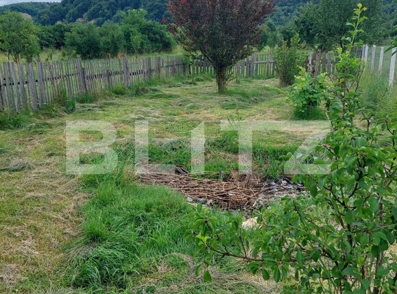 Casa de vânzare 1 camera Nord - 137112CV | BLITZ Bistriţa | Poza2