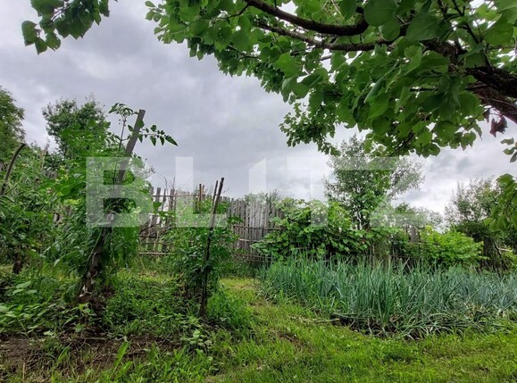 Casa de vânzare 1 camera Nord - 137112CV | BLITZ Bistriţa | Poza5