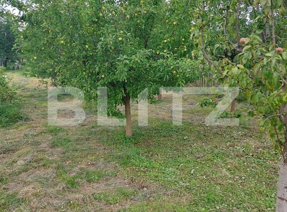 Casa de vânzare 1 camera Nord - 137112CV | BLITZ Bistriţa | Poza6