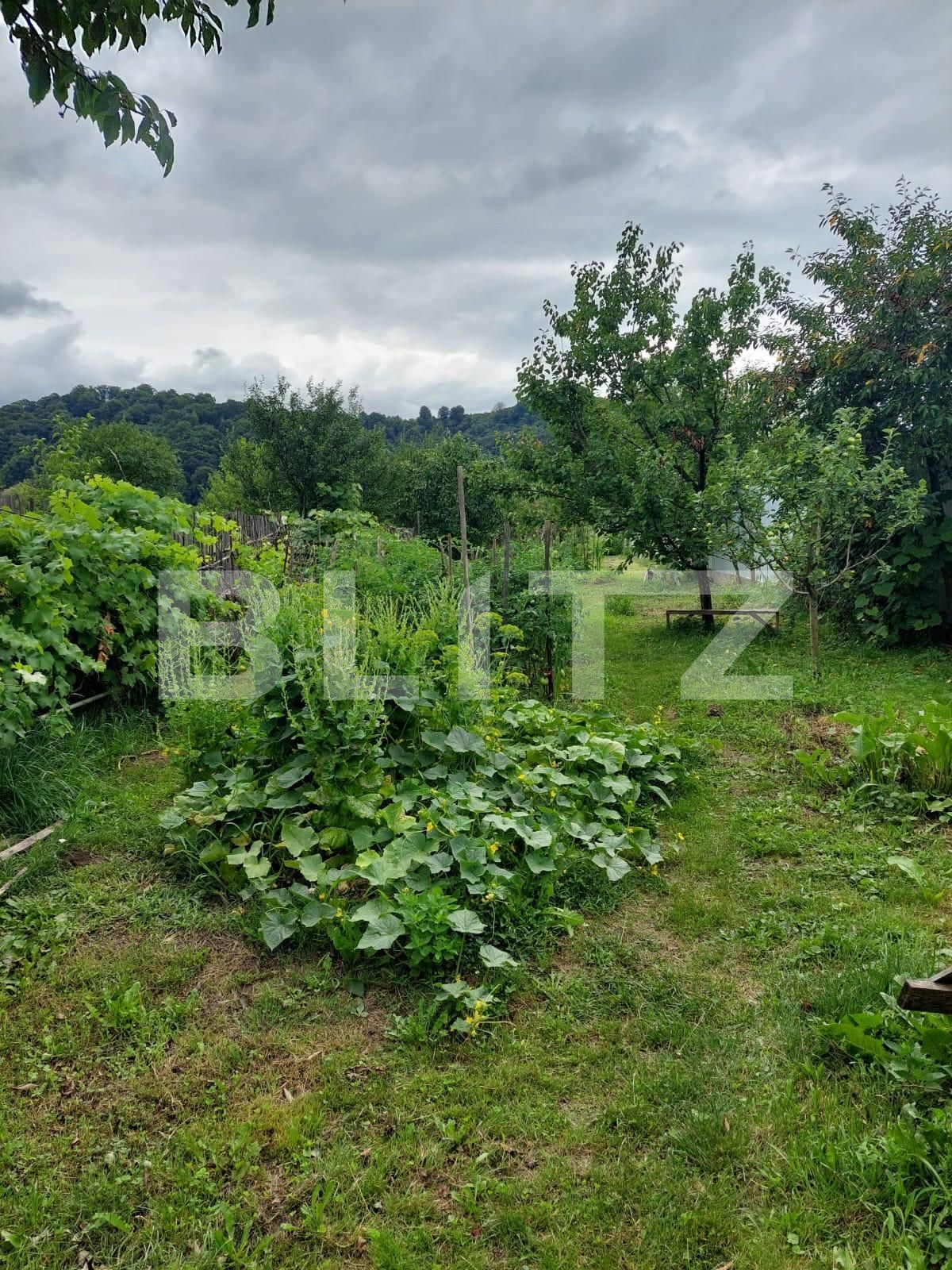 Casa de vânzare 1 camera Nord - 137112CV | BLITZ Bistriţa | Poza3