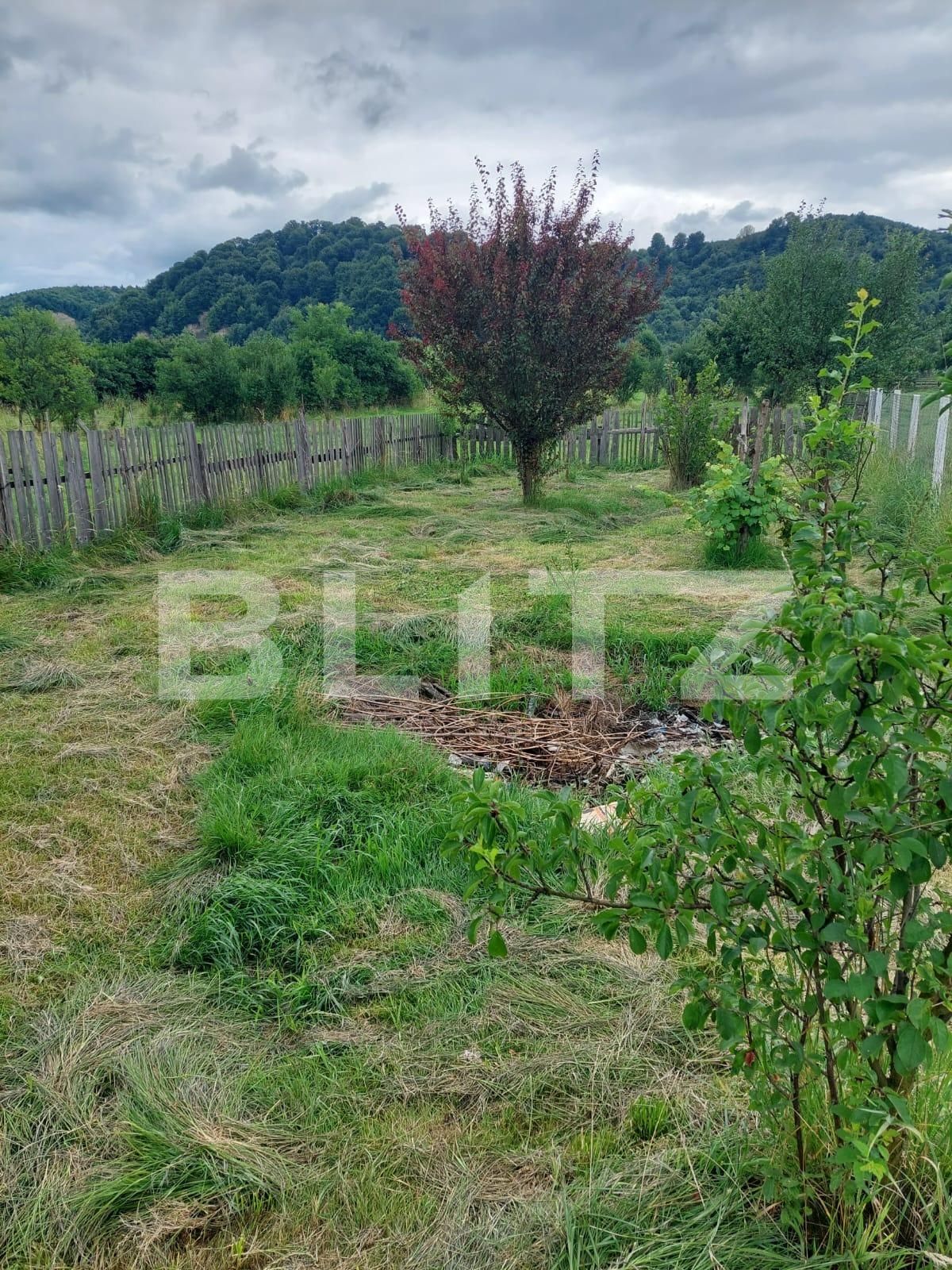 Casa de vânzare 1 camera Nord - 137112CV | BLITZ Bistriţa | Poza2