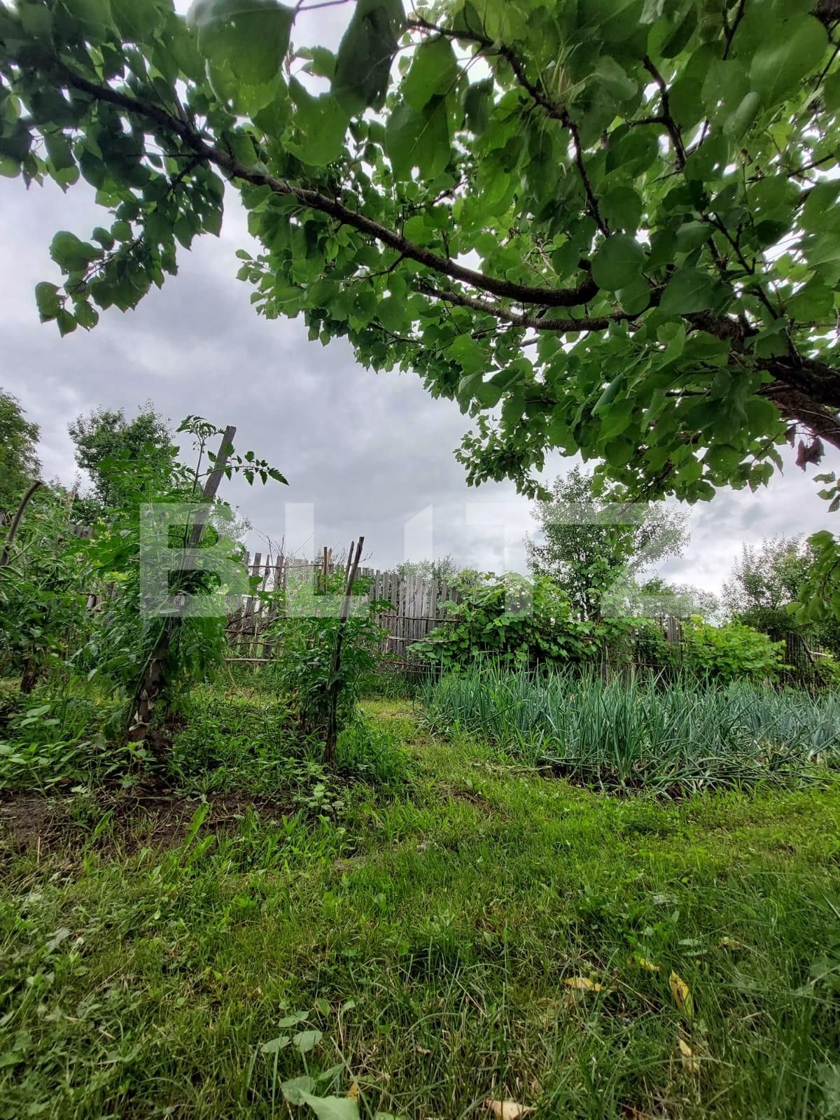 Casa de vânzare 1 camera Nord - 137112CV | BLITZ Bistriţa | Poza5