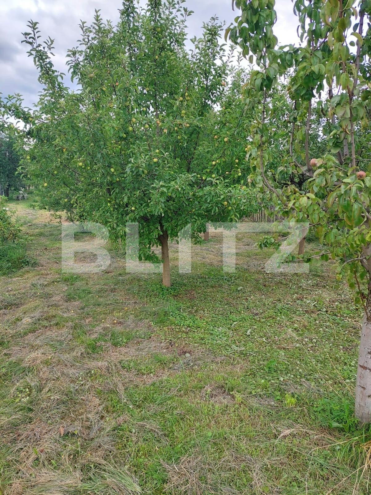 Casa de vânzare 1 camera Nord - 137112CV | BLITZ Bistriţa | Poza6