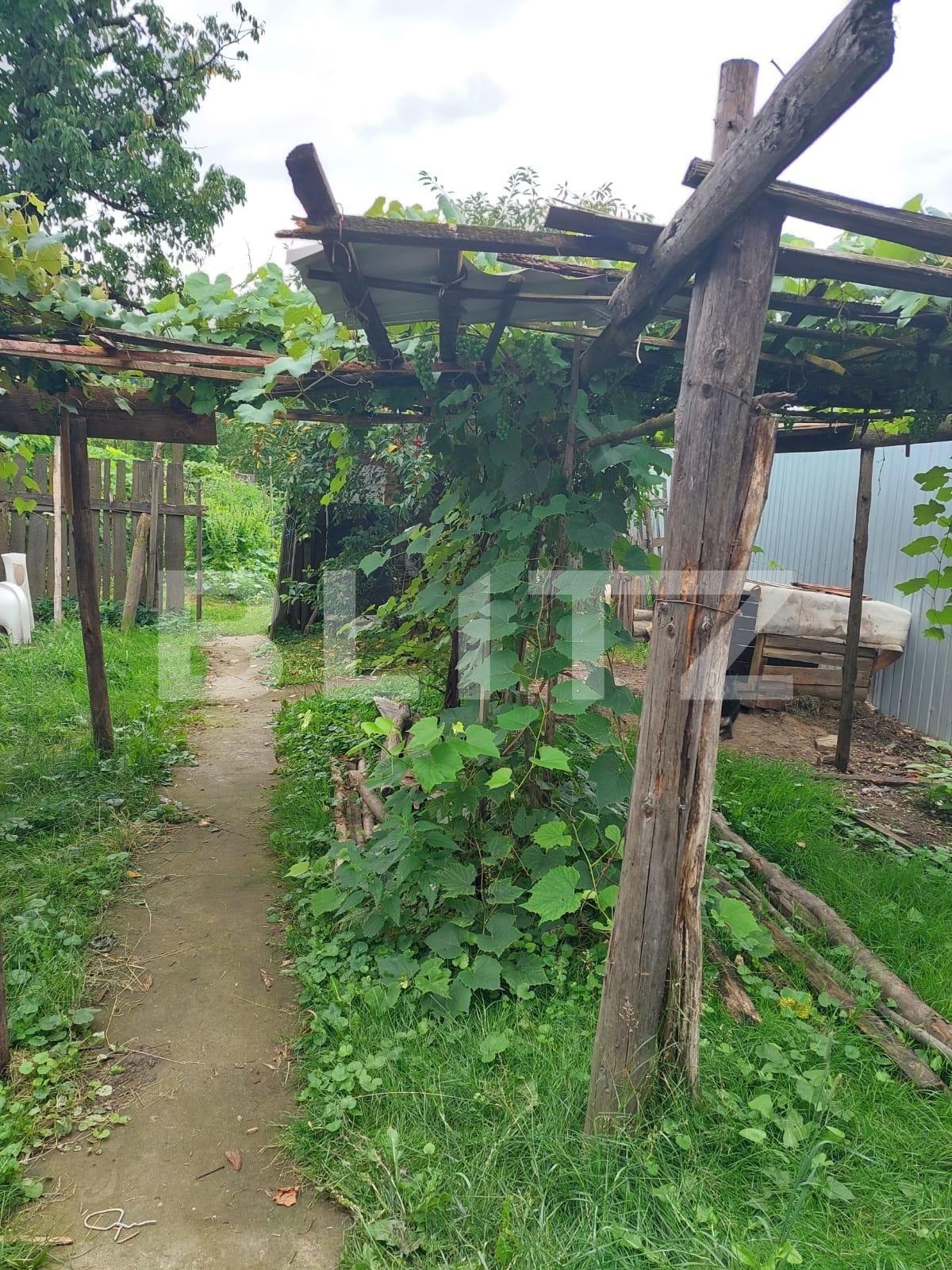 Casa de vânzare 1 camera Nord - 137112CV | BLITZ Bistriţa | Poza7