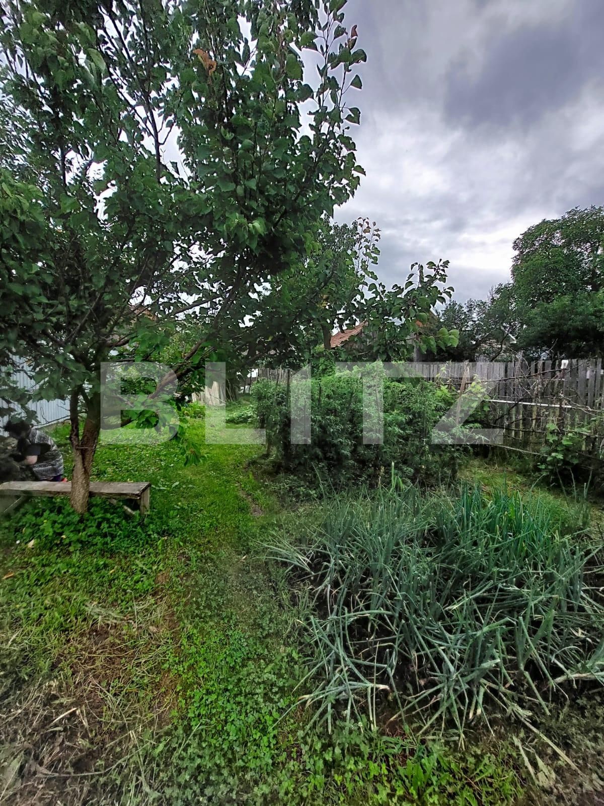 Casa de vânzare 1 camera Nord - 137112CV | BLITZ Bistriţa | Poza4