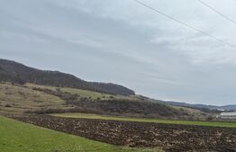 Teren extravilan 1,27 ha Arcalia