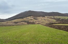 Teren extravilan 1,27 ha Arcalia