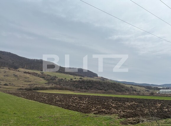 Teren de vânzare Arcalia - 137116TV | BLITZ Bistriţa | Poza2