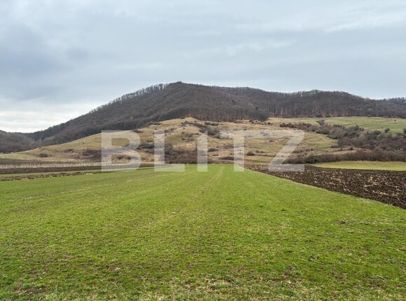 Teren de vânzare Arcalia - 137116TV | BLITZ Bistriţa | Poza1