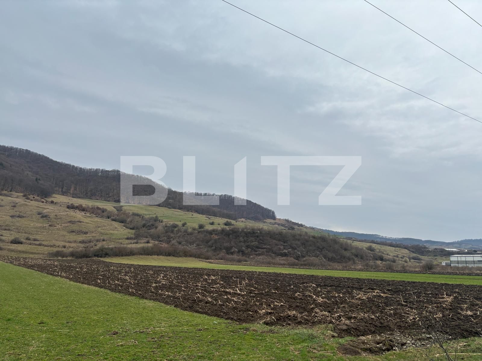 Teren de vânzare Arcalia - 137116TV | BLITZ Bistriţa | Poza2