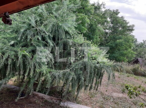 Casa de vânzare 3 camere Exterior Sud - 137128CV | BLITZ Bistriţa | Poza2