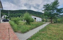 Casa situata la 5 min de oras si 2500mp teren