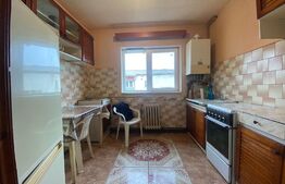 Apartament de 2 camere, 50 mp, zona Decebal