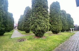 Casa 5 dormitoare, 450 mp utili, 16 arii teren, zona Str Lucian Blaga