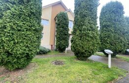 Casa 5 dormitoare, 450 mp utili, 16 arii teren, zona Str Lucian Blaga