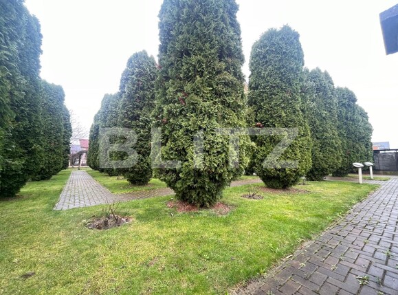 Casa de vânzare 5 camere Unirea - 137339CV | BLITZ Bistriţa | Poza5