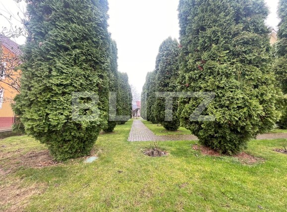 Casa de vânzare 5 camere Unirea - 137339CV | BLITZ Bistriţa | Poza3