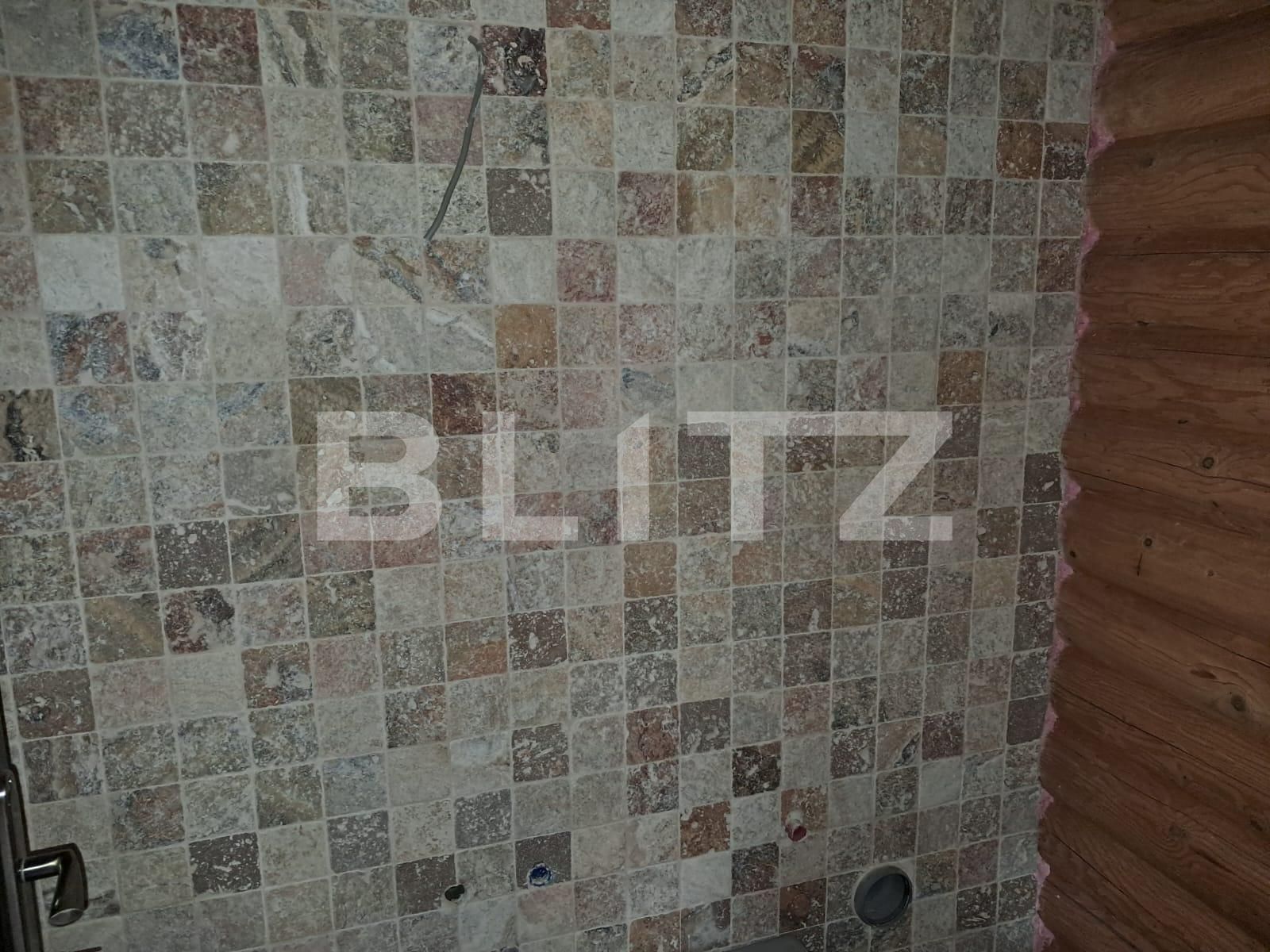 Casa de vânzare 10 camere Colibiţa - 137370CV | BLITZ Bistriţa | Poza10