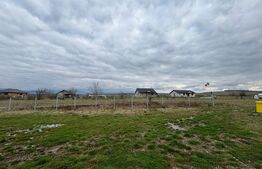 Cabana la 8km de Bistrita