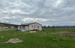 Cabana la 8km de Bistrita