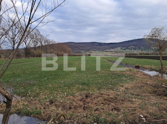 Teren de vânzare Unirea - 137561TV | BLITZ Bistriţa | Poza1