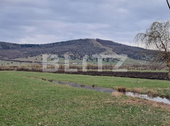 Teren de vânzare Unirea - 137568TV | BLITZ Bistriţa | Poza1