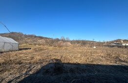 Teren Intravilan 2700mp Dumitra