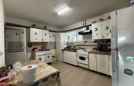 Pensiune 10 camere, 5 ha teren, la 30 km de Bistrita 