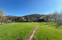 Pensiune 10 camere, 5 ha teren, la 30 km de Bistrita 