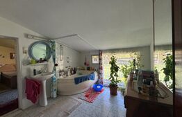 Pensiune 10 camere, 5 ha teren, la 30 km de Bistrita 