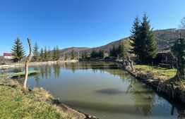 Pensiune 10 camere, 5 ha teren, la 30 km de Bistrita 