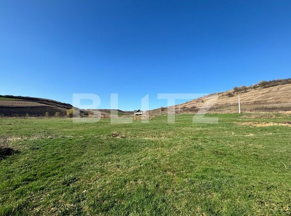 Casa de vânzare 10 camere Exterior Vest - 137807CV | BLITZ Bistriţa | Poza12