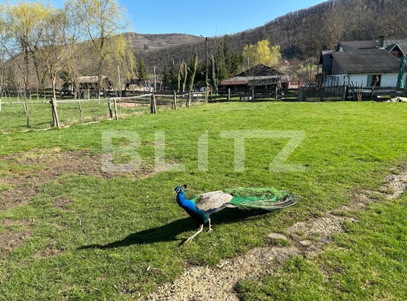 Casa de vânzare 10 camere Exterior Vest - 137807CV | BLITZ Bistriţa | Poza15