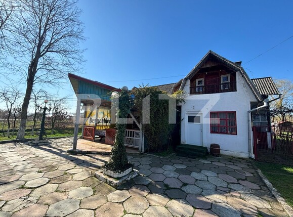 Casa de vânzare 10 camere Exterior Vest - 137807CV | BLITZ Bistriţa | Poza10