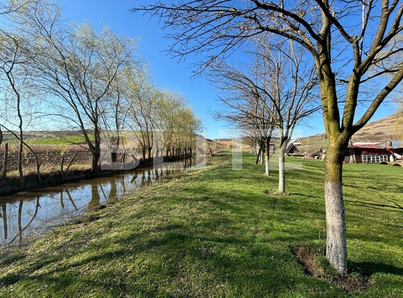 Casa de vânzare 10 camere Exterior Vest - 137807CV | BLITZ Bistriţa | Poza14