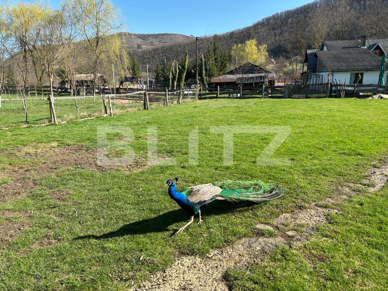 Casa de vânzare 10 camere Exterior Vest - 137807CV | BLITZ Bistriţa | Poza15