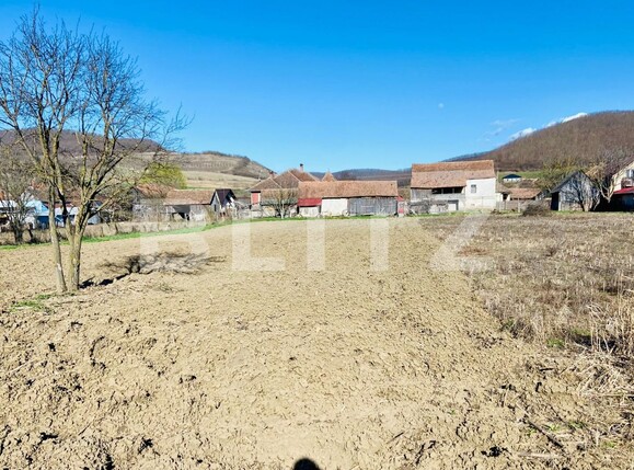 Casa de vânzare 4 camere Periferie - 137816CV | BLITZ Bistriţa | Poza14