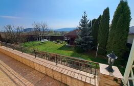 Casa/vila, teren 7 arii, zona linistita Subcetate