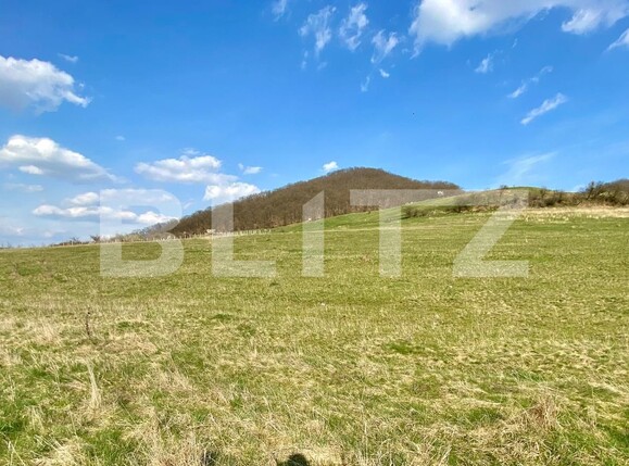 Teren de vânzare Sud - 137899TV | BLITZ Bistriţa | Poza1