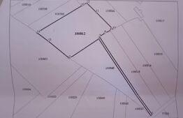 Teren extravilan, 60 ari, zona Lempes