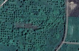 Teren extravilan, 60 ari, zona Lempes